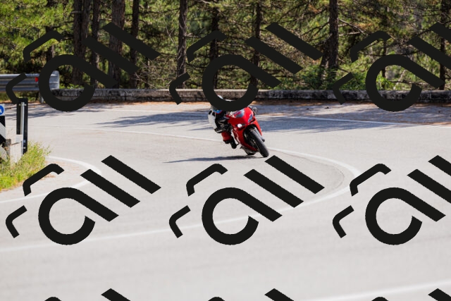 202509131340-_04A8493_c3