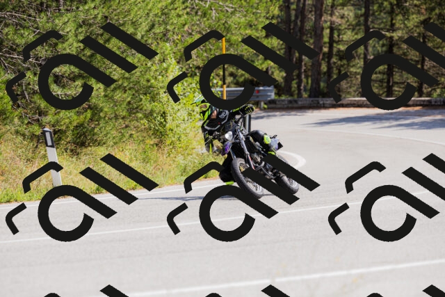 202509131341-_04A8506_c3