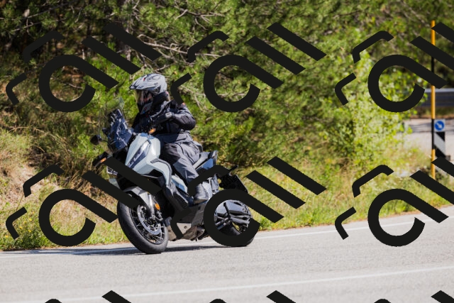 202509131342-_04A8511_c3