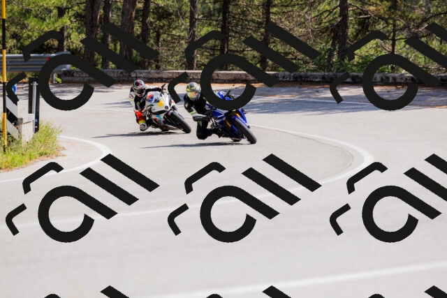 202509131343-_04A8524_c3