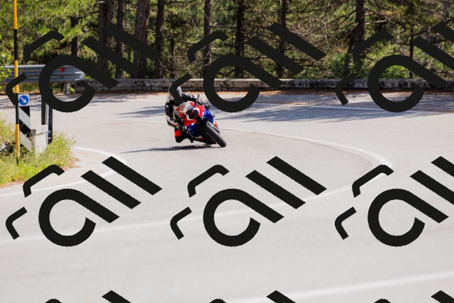 202509131343-_04A8538_c3