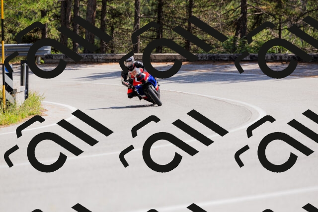 202509131343-_04A8539_c3