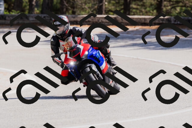 202509131343-_04A8541_c3