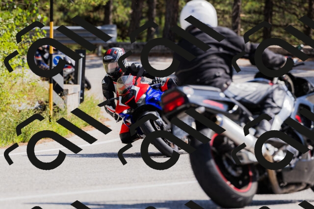 202509131343-_04A8542_c3