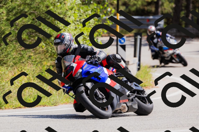 202509131343-_04A8543_c3