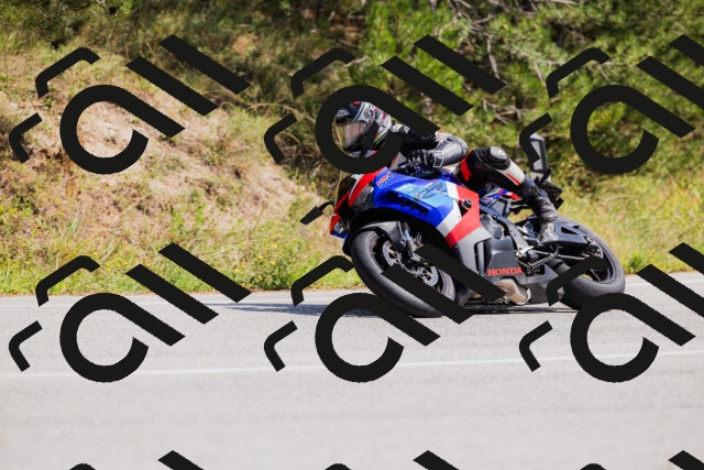 202509131343-_04A8544_c3