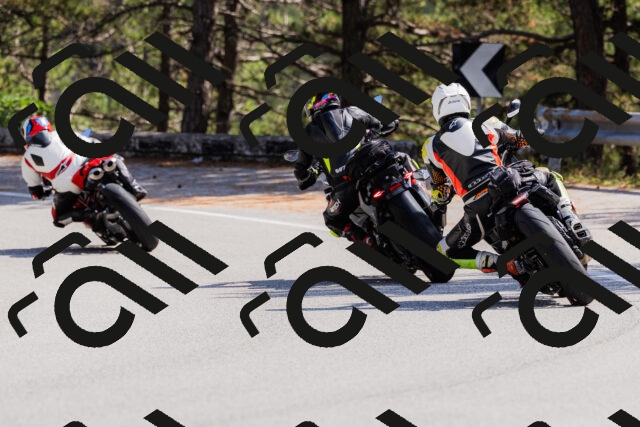 202509131343-_04A8556_c3