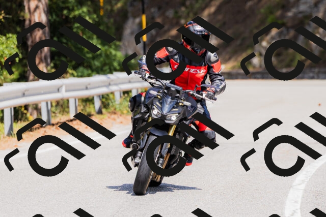 202509131344-_04A8558_c3