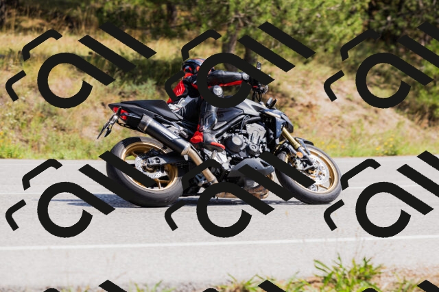 202509131344-_04A8562_c3