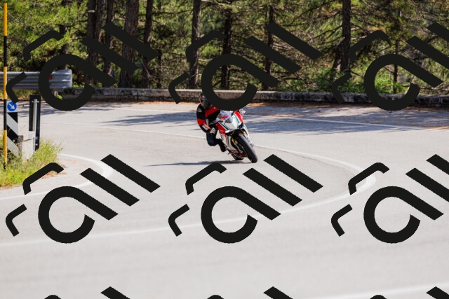 202509131346-_04A8571_c3