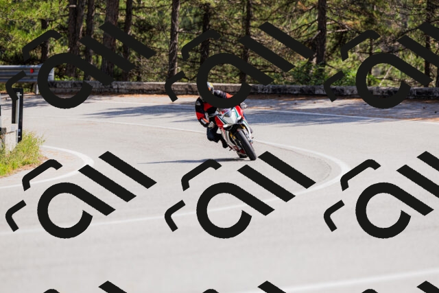 202509131346-_04A8572_c3