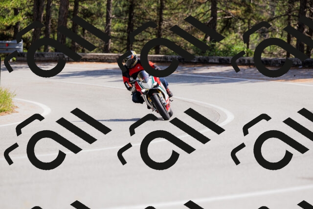 202509131346-_04A8573_c3