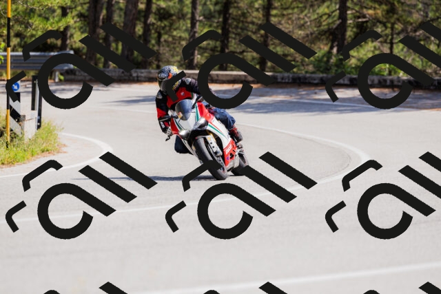 202509131346-_04A8574_c3