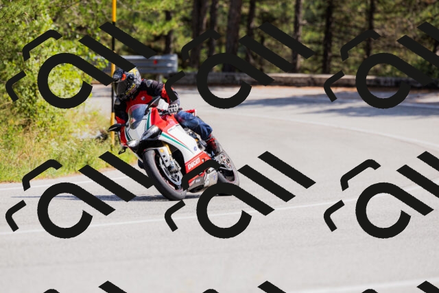 202509131346-_04A8575_c3