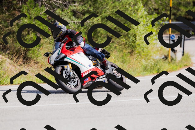 202509131346-_04A8576_c3