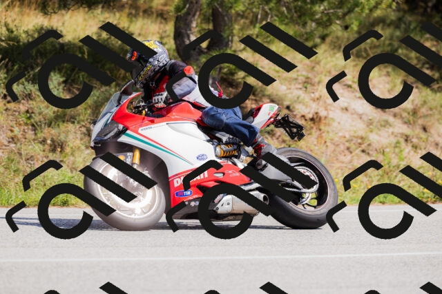 202509131346-_04A8577_c3