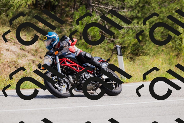 202509131347-_04A8582_c3