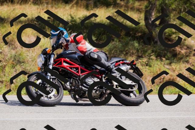 202509131347-_04A8583_c3