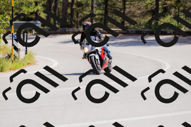 202509131347-_04A8584_c3