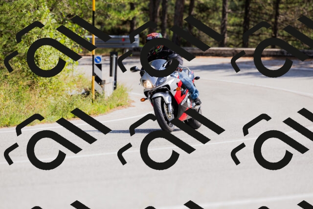 202509131347-_04A8585_c3