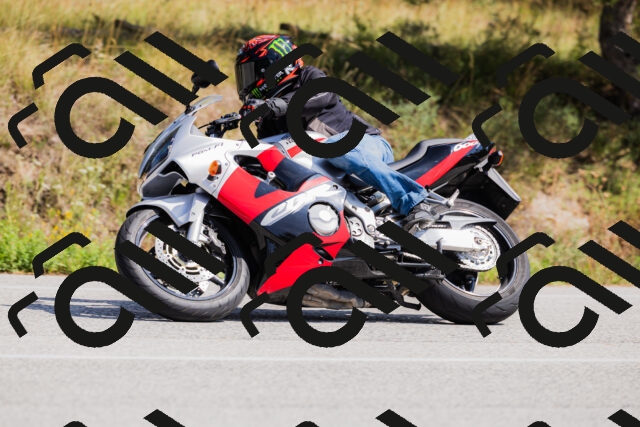 202509131347-_04A8588_c3