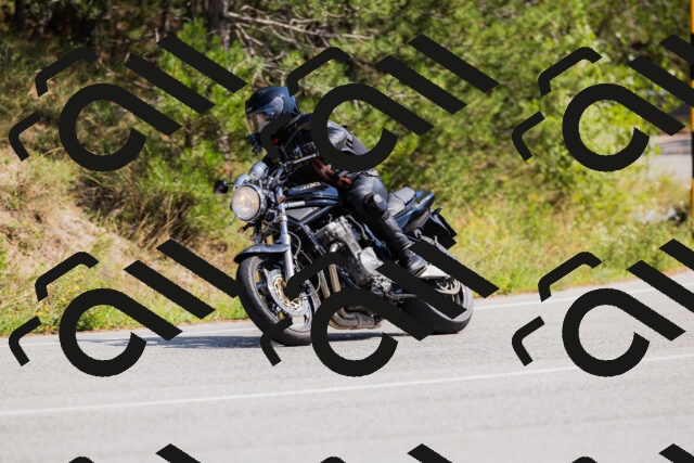 202509131347-_04A8589_c3