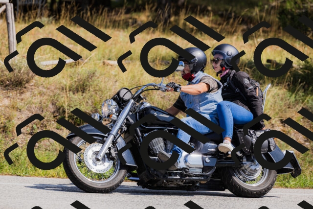 202509131352-_04A8604_c3