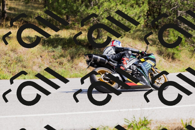 202509131352-_04A8610_c3