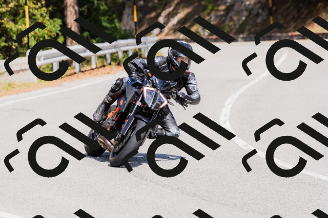 202509131354-_04A8626_c3