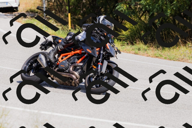 202509131354-_04A8628_c3