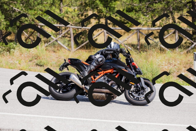 202509131354-_04A8629_c3