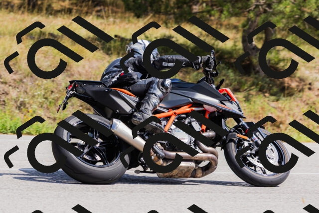 202509131354-_04A8630_c3