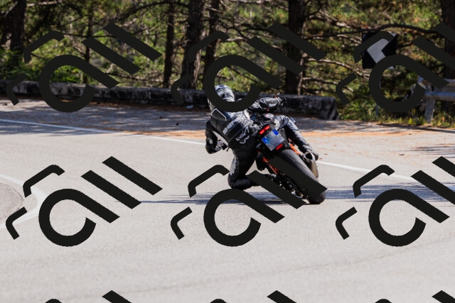 202509131354-_04A8634_c3