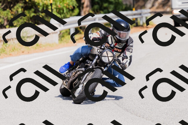 202509131354-_04A8639_c3