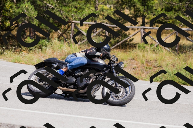 202509131354-_04A8642_c3