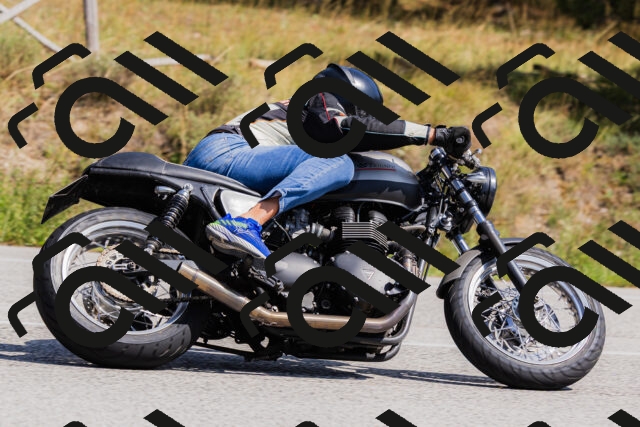 202509131354-_04A8643_c3