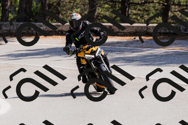 202509131355-_04A8658_c3