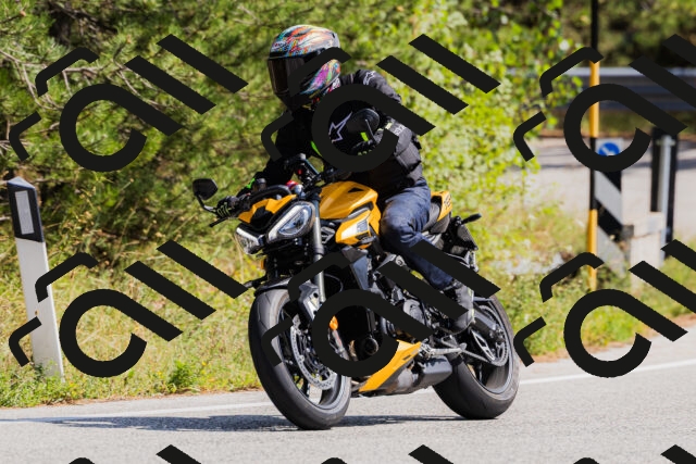 202509131355-_04A8662_c3