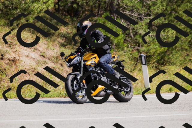 202509131355-_04A8663_c3