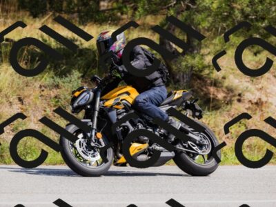 202509131355-_04A8664_c3