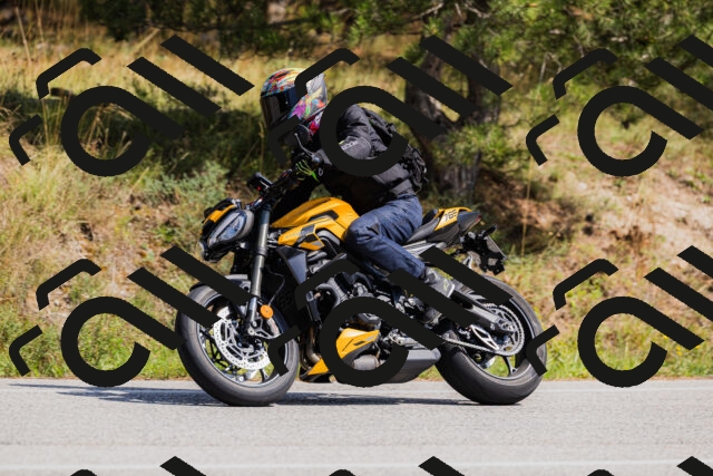 202509131355-_04A8664_c3