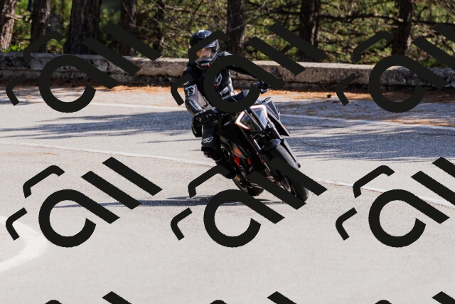 202509131355-_04A8665_c3