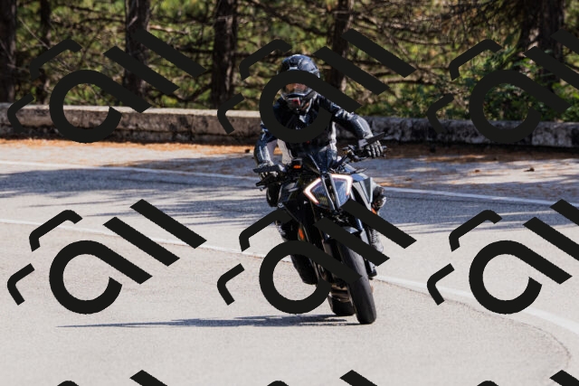 202509131355-_04A8666_c3