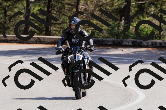 202509131355-_04A8667_c3