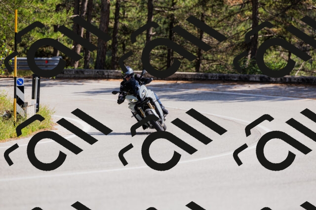 202509131356-_04A8669_c3