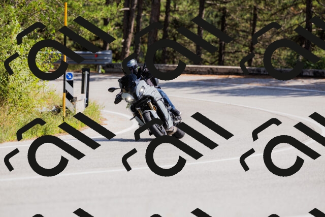 202509131356-_04A8670_c3