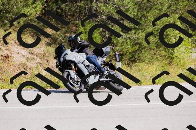 202509131356-_04A8672_c3