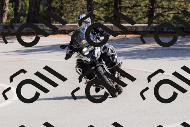 202509131357-_04A8675_c3