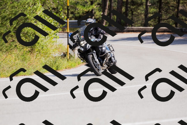 202509131357-_04A8677_c3