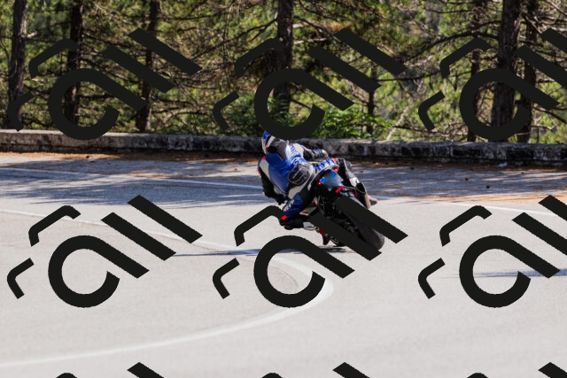 202509131402-_04A8697_c3